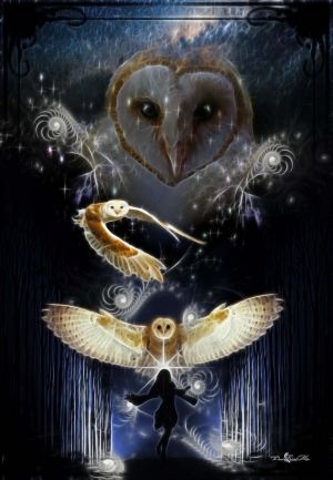 Owl Medicine2S.jpg